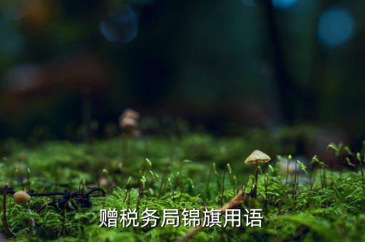 送錦旗給稅局可以寫(xiě)什么內(nèi)容，贈(zèng)稅務(wù)局錦旗用語(yǔ)