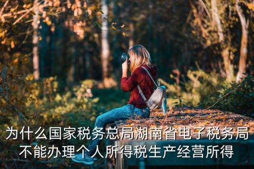 電子稅務(wù)局里面為什么沒(méi)有個(gè)稅，個(gè)人所得稅查不到怎么回事
