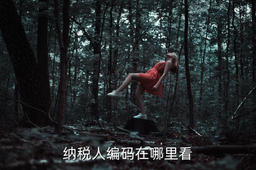 地稅稅源編號是什么，建筑業(yè)地稅稅源編號指的是啥