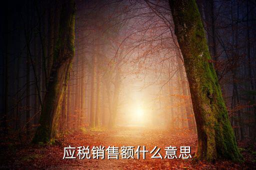 稅務(wù)銷售額是什么意思，年應(yīng)稅銷售額是什么意思