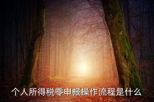 扣繳稅款登記主要流程是什么，納稅流程是怎樣的