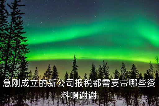 報(bào)稅要帶什么資料，增值稅報(bào)稅都要準(zhǔn)備哪些資料