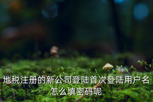 河北省地稅注冊用戶名是什么，稅務用戶名是什么啊