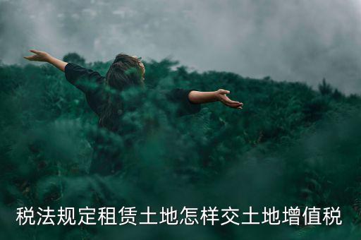 租用土地要交什么稅，土地租賃應(yīng)該繳哪些稅收
