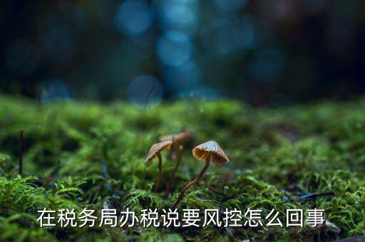 稅務(wù)局風(fēng)控管理是做什么的，稅務(wù)局風(fēng)控科好嗎