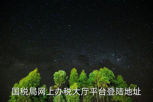 國稅網(wǎng)什么網(wǎng)站可以登錄，河北國稅網(wǎng)上辦稅服務廳用戶登錄地址