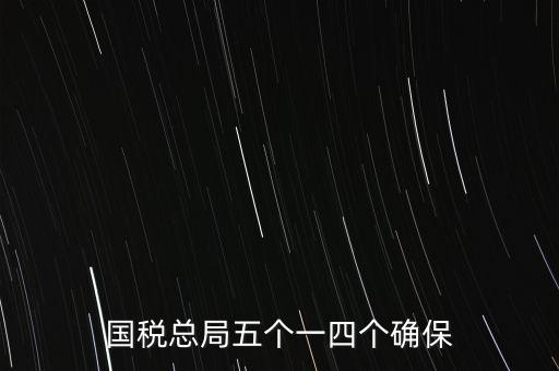 稅務(wù)局五個一是什么時候，國稅總局五個一四個確保