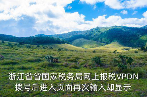 浙江省省國家稅務(wù)局網(wǎng)上報稅VPDN撥號后進入頁面再次輸入?yún)s顯示