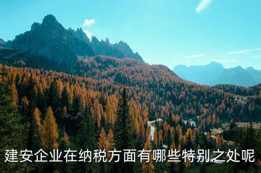 建安企業(yè)申報(bào)是什么，做消防工程開具建安發(fā)票的公司申報(bào)是地稅還是國(guó)稅啊還是兩個(gè)都