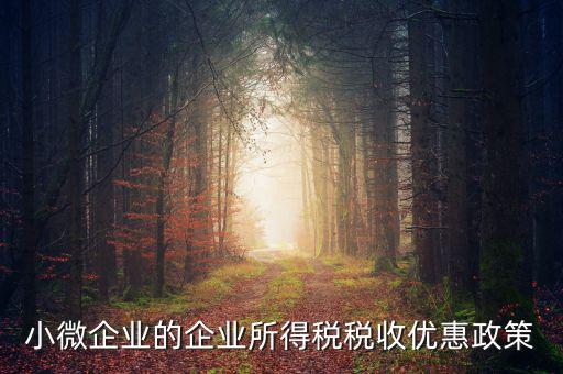 稅務(wù)小微企業(yè)稅收優(yōu)惠是什么，小微企業(yè)的企業(yè)所得稅稅收優(yōu)惠政策
