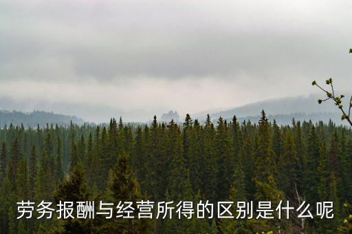 什么是經(jīng)營所得，個(gè)體工商戶的生產(chǎn)經(jīng)營所得是指什么
