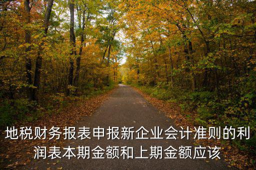 地稅利潤表的上期金額指什么，新會計制度下利潤表中本期金額和上期金額是什么意思