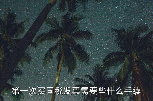 第一次買國(guó)稅發(fā)票需要些什么手續(xù)