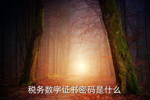 湖北地稅ca登錄密碼是什么意思，地稅CA證書如何解密碼