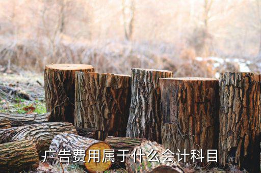 廣告宣傳費(fèi)屬于什么費(fèi)用，宣傳費(fèi)計(jì)入什么科目