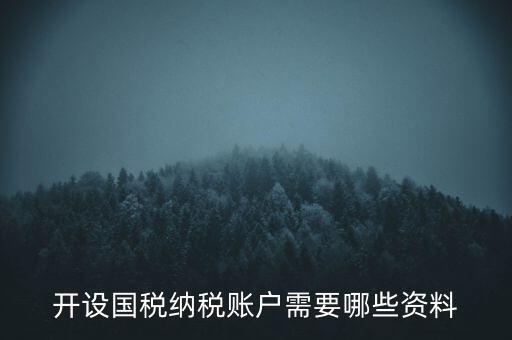 開國稅都需要帶什么資料，開設(shè)國稅納稅賬戶需要哪些資料