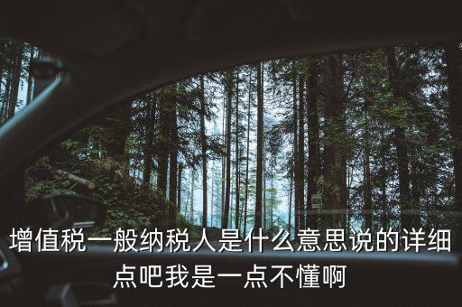 增值稅一般納稅人是什么意思說的詳細(xì)點吧我是一點不懂啊
