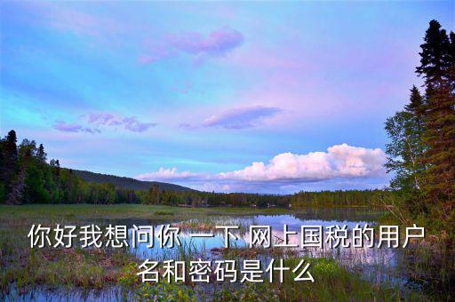你好我想問(wèn)你 一下 網(wǎng)上國(guó)稅的用戶名和密碼是什么