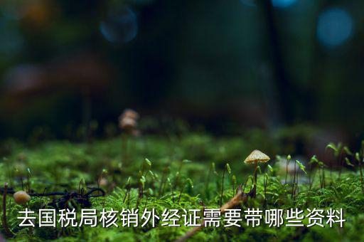 核銷(xiāo)外經(jīng)證地稅那做什么，去國(guó)稅局核銷(xiāo)外經(jīng)證需要帶哪些資料