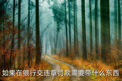 銀行端查詢繳款需帶什么，銀行端查詢繳稅業(yè)務(wù)如何辦理