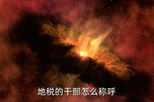 地稅局所長是什么級別，內(nèi)蒙古副廳級干部和內(nèi)蒙古地稅局副局長級哪個官位大