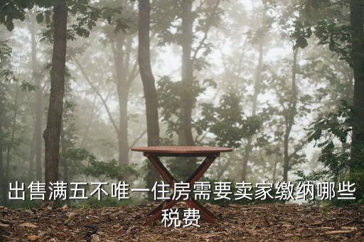 出售滿(mǎn)五不唯一住房需要賣(mài)家繳納哪些稅費(fèi)