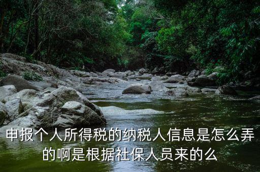 納稅人信息包括什么，申報(bào)個(gè)人所得稅的納稅人信息是怎么弄的啊是根據(jù)社保人員來的么