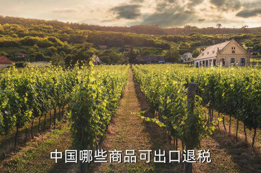 什么貨物出口可以退稅，中國哪些商品可出口退稅