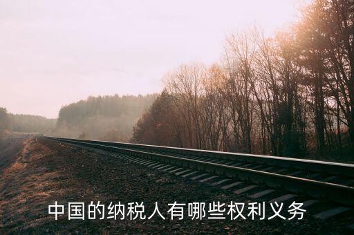 納稅服務(wù)什么權(quán)，中國(guó)的納稅人有哪些權(quán)利義務(wù)