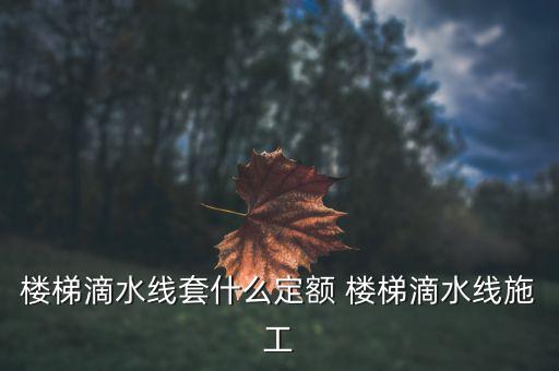 江蘇滴水套什么定額，滴水線套什么定額