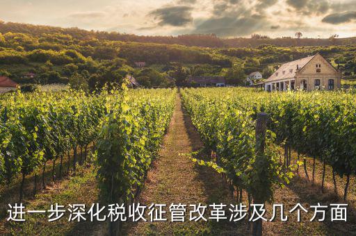 稅務改革 發(fā)展要什么，論述個人所得稅改革的基本原則