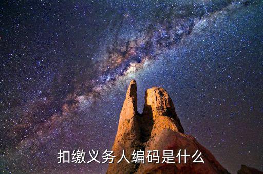 個稅系統(tǒng)扣繳義務人編碼是什么，扣繳義務人編碼是什么