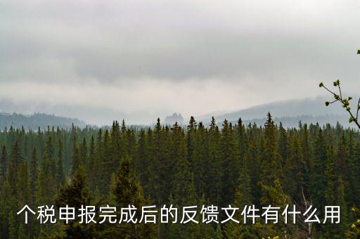 個稅申報完成后的反饋文件有什么用