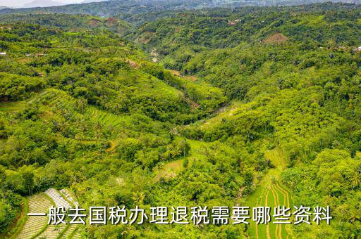 稅務(wù)局退稅要什么手續(xù)，一般去國稅辦理退稅需要哪些資料