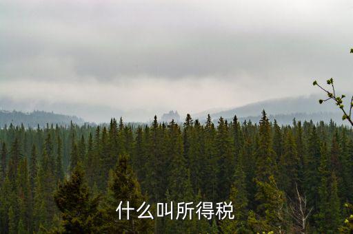 居民企業(yè)所得稅是什么，居民企業(yè)所得稅月度預(yù)繳納稅申報(bào)收入指什么時(shí)候的