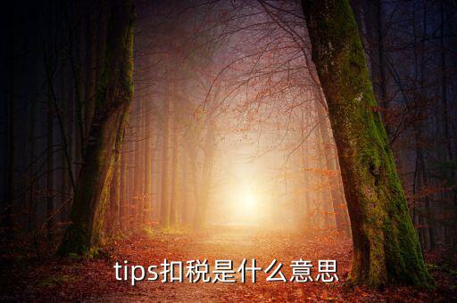 國稅tips系統(tǒng)指什么意思，電子對賬單上摘要一欄寫有tips是什么意思