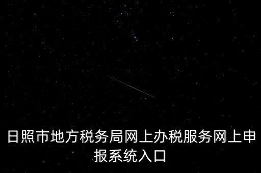 日照市地方稅務局網(wǎng)上辦稅服務網(wǎng)上申報系統(tǒng)入口
