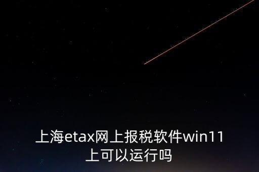 上海網(wǎng)上報(bào)稅什么軟件，上海etax網(wǎng)上報(bào)稅軟件win11上可以運(yùn)行嗎