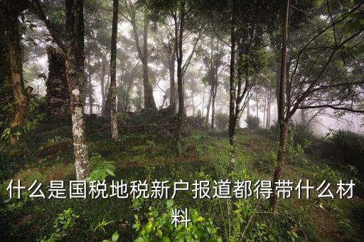 國地稅報道是什么意思，什么是國稅地稅新戶報道都得帶什么材料