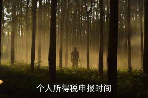 代扣代繳的個稅什么時候申報，個人所得稅申報時間