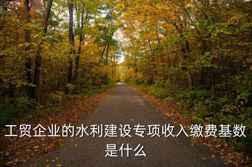 工貿(mào)企業(yè)的水利建設(shè)專項收入繳費(fèi)基數(shù)是什么