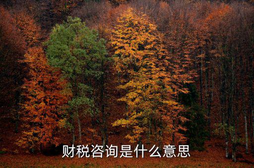深圳稅務(wù)納稅咨詢平臺(tái)是什么意思，財(cái)稅咨詢是什么意思