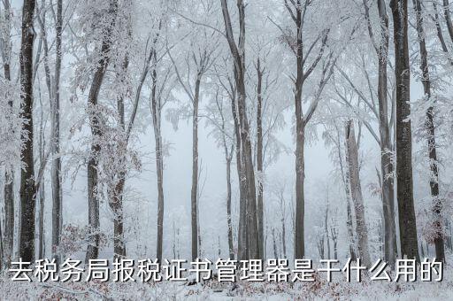 地稅證書管理網(wǎng)是什么，去稅務局報稅證書管理器是干什么用的