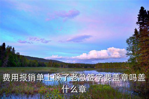 報銷單據(jù)里面蓋什么章，報銷入院記錄要蓋什么章
