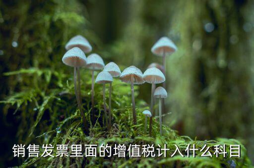 發(fā)票稅金入什么科目，開票稅金計入什么科目