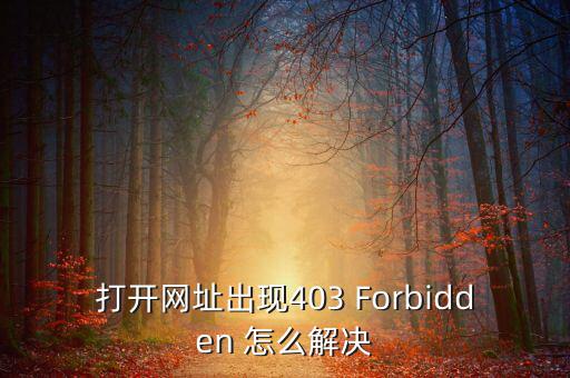打開網址出現403 Forbidden 怎么解決