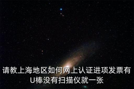 上海 u棒派什么用，請(qǐng)教上海地區(qū)如何網(wǎng)上認(rèn)證進(jìn)項(xiàng)發(fā)票有U棒沒(méi)有掃描儀就一張