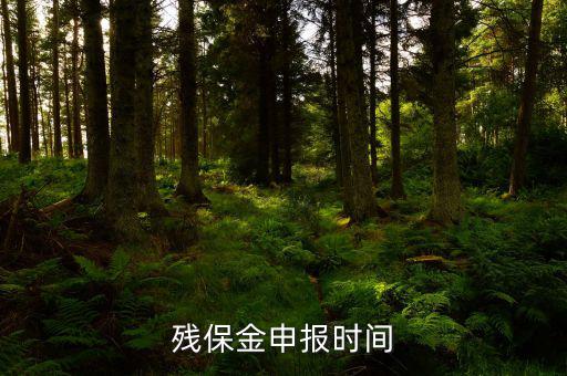 2016殘保金什么時候交，殘保金是一年一交嗎