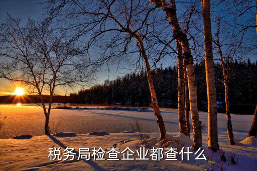 北京市稅務(wù)局主要查什么，稅務(wù)查賬一般查什么內(nèi)容