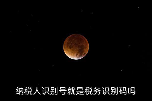 稅務(wù)標(biāo)識(shí)符是什么意思，納稅人識(shí)別碼是什么